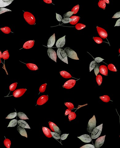 Jersey roten Beeren auf schwarzem Hintergrund