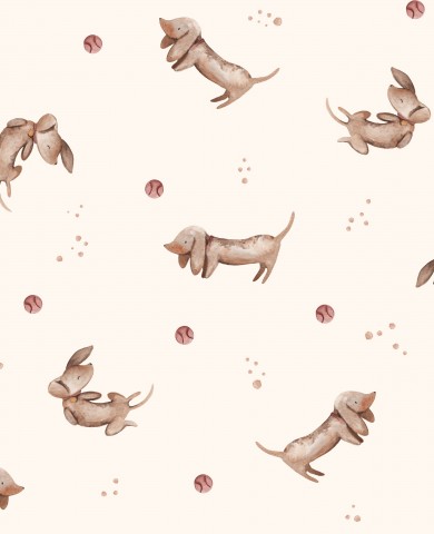 SoftShell dachshunds on a white background