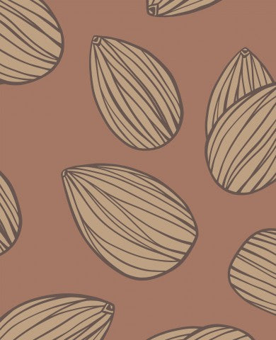 Jersey pattern of almonds on a brown background