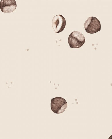 Noci e semi di Panama su sfondo beige