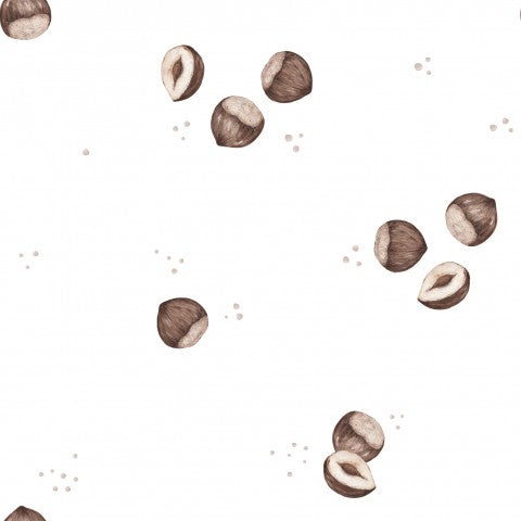 Satin cotton nuts and seeds on white background