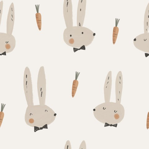 SoftShell rabbits and carrots on a white background