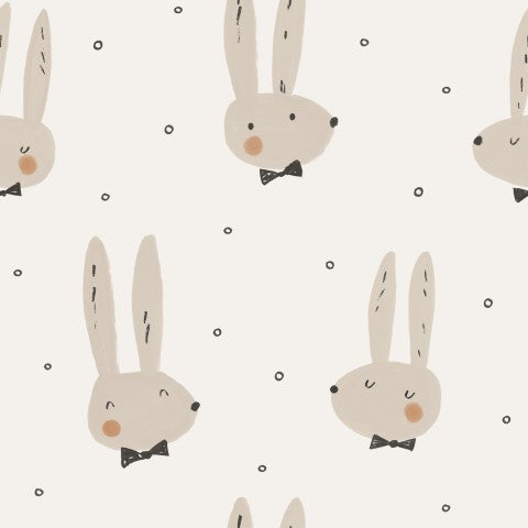 Panama bunnies and flies