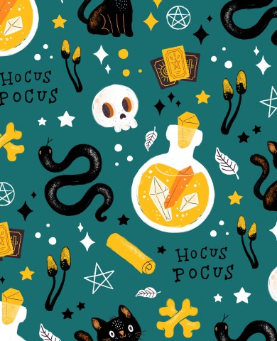 Rib Jersey of a black cat, a witch's hat, a magic potion and other items