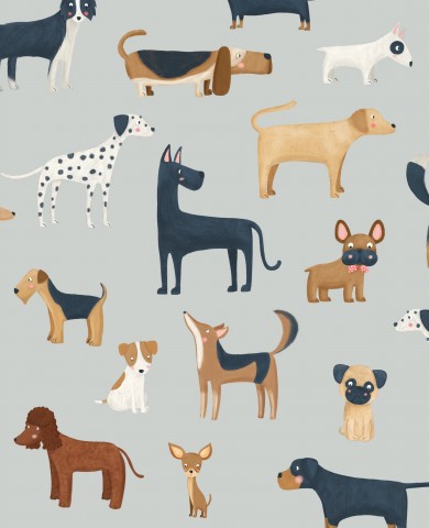 Panama viele verschiedene Hunde auf einem grauen Hintergrund