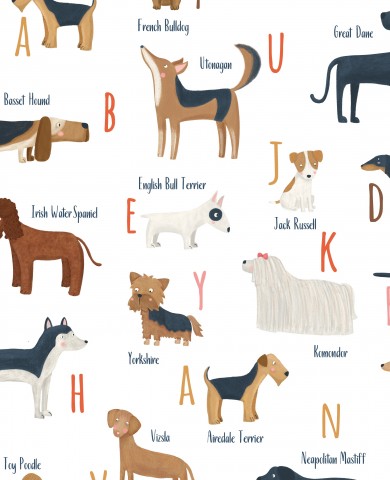 French Terry a collection of dogs and their names in the alphabet