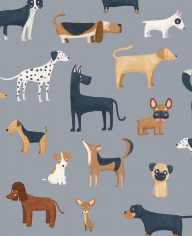 Panama viele verschiedene Hundearten auf grauem Hintergrund