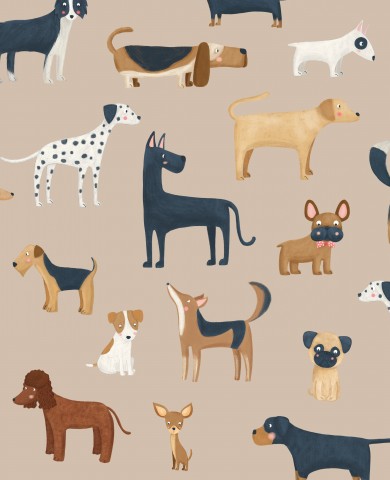 Muslin and many different dogs depicted