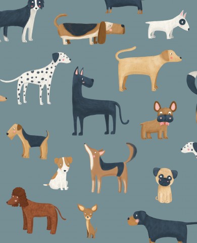 Panama molte razze di cani diverse su uno sfondo blu