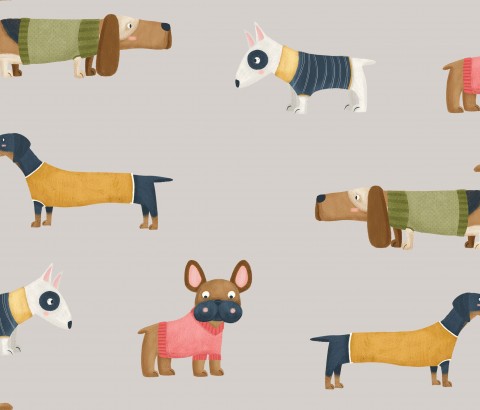 Jersey Dachshunds in Sweaters