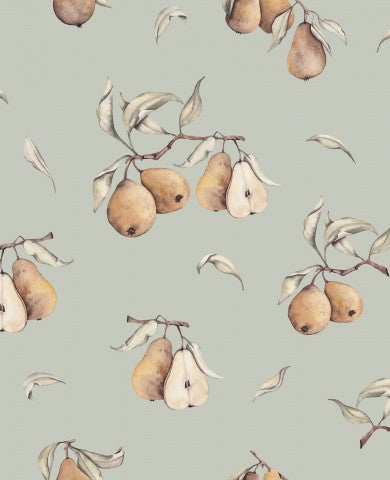 Pere di cotone satinato su un ramo