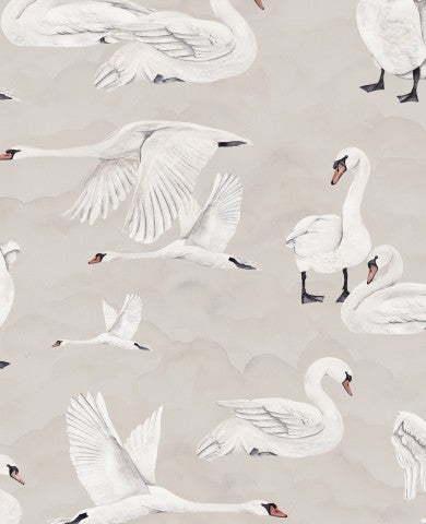 SoftShell witte zwanen in de lucht als achtergrond