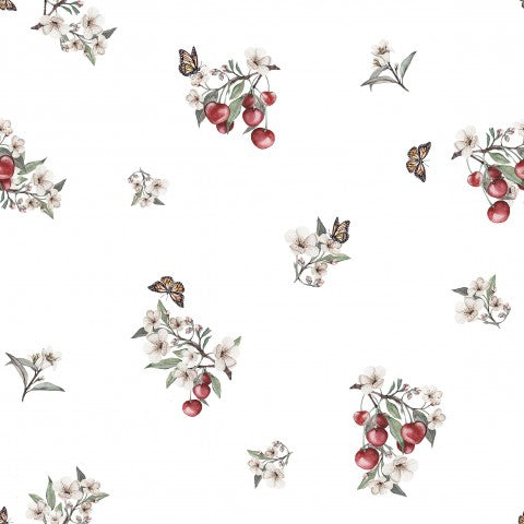 Jersey cherries and butterflies on a white background