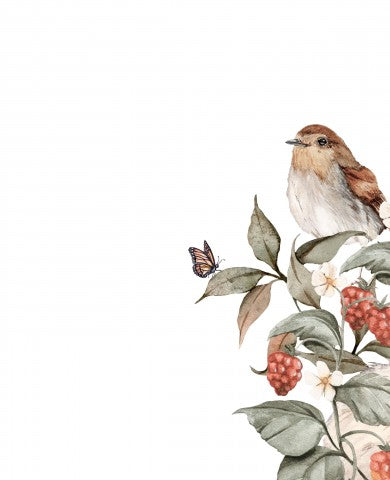 Jersey côtelé, illustration à l'aquarelle d'un oiseau assis sur une branche avec des baies