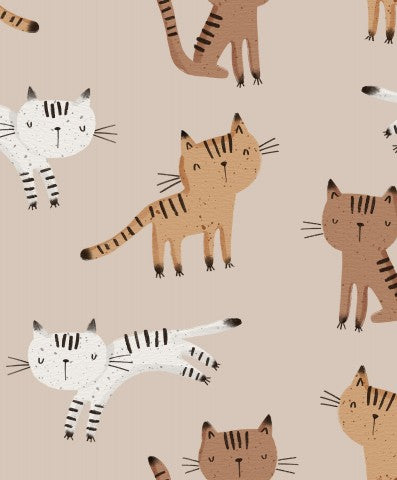 Chats en mousseline sur fond beige