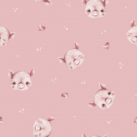 Panama cute pigs on pink background