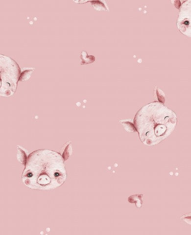 Panama cute little piggy on pink background