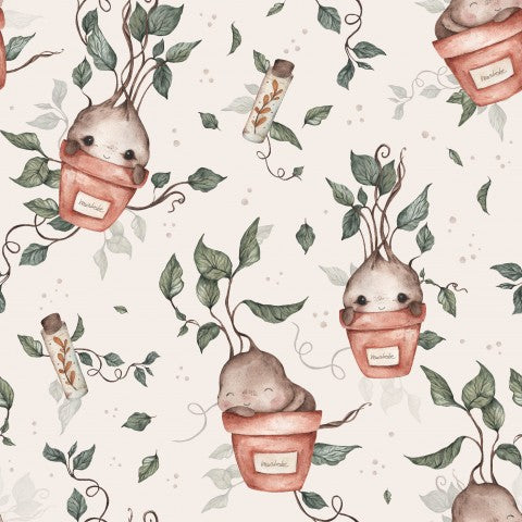 Plantes et animaux de Jersey en pots