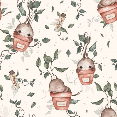 Panama plants and animals in pots