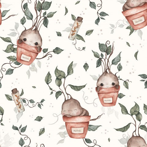 Jersey plants and animals in pots