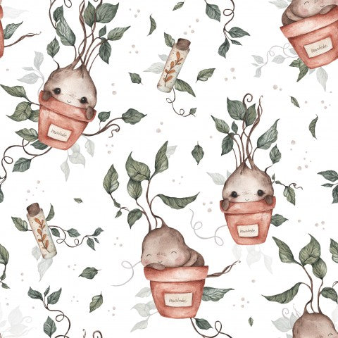 Jersey plants and animals in pots