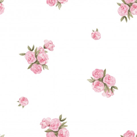 SoftShell pink roses on white background