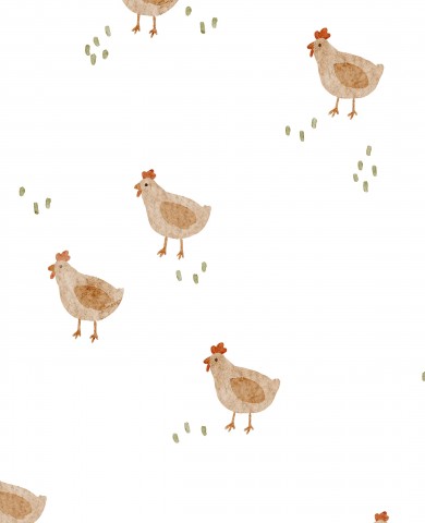 Poulets de Jersey sur fond blanc