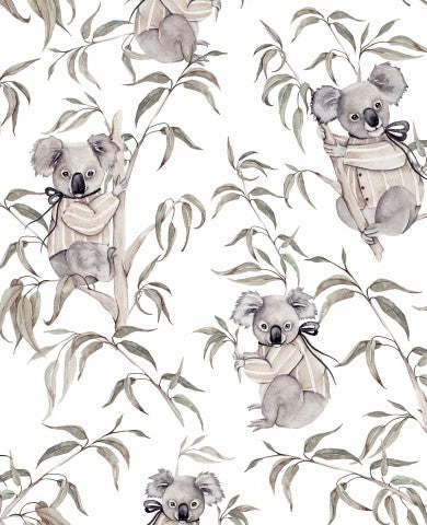 Koalas de Rib Jersey y eucaliptos