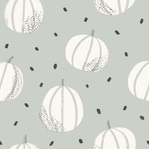 Muslin pumpkins and seeds on a gray background