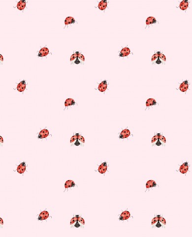 SoftShell a ladybug pattern on a pink background