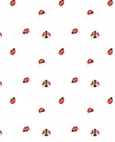 Jersey a ladybug pattern on a white background