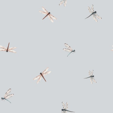 French Terry with a dragonfly pattern on a grey background