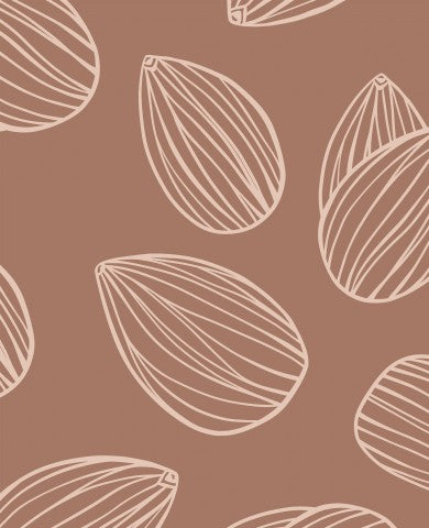 Panama pattern made of almonds on a brown background