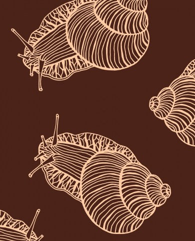 Panama pattern of snails on a brown background vector