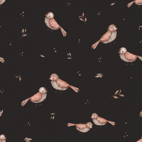SoftShell birds on a black background