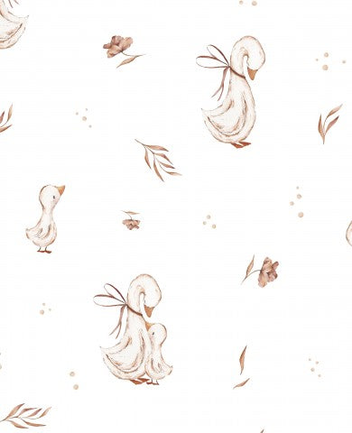 SoftShell ducks on a white background