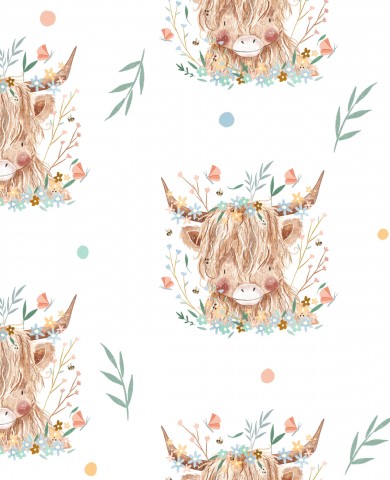 Panama of a sweet highland cow