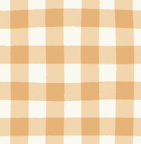 French Terry an orange and white checked fabric