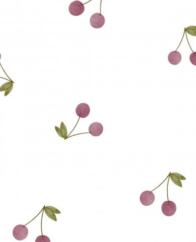 Panama cherries on a white background