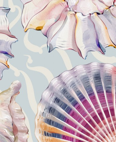 Panama shells in watercolor on a blue background
