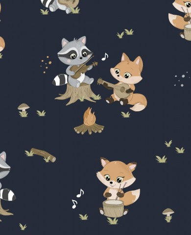 Rib Jersey raccoons and other musical animals