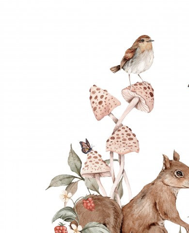 Jersey a watercolor illustration of squirrels, birds and mushrooms