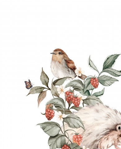 SoftShell une illustration à l'aquarelle d'un hérisson et d'un oiseau