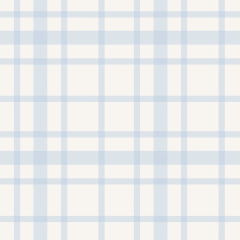 French Terry a light blue and white checked fabric