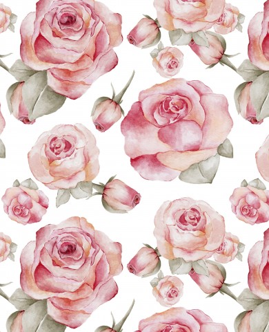 Rose rosa in raso di cotone su sfondo bianco