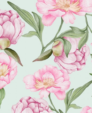 Jersey pink peony flowers