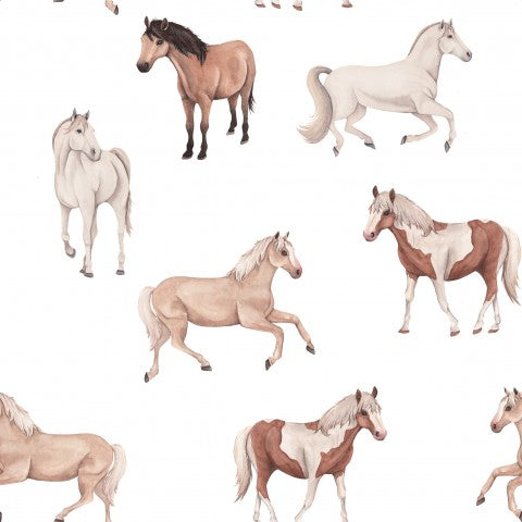 Jersey watercolor horses