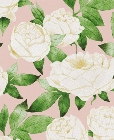 French Terry white peonies on pink background