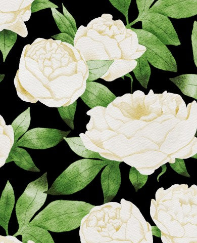 Satin cotton white peonies on black background