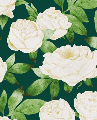 French Terry white peonies on green background
